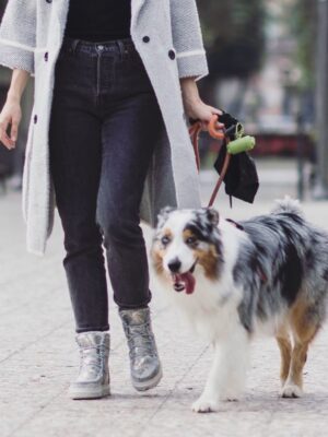 83845507_2828313803893268_6491702794272112640_o Ymiz M3 Piton