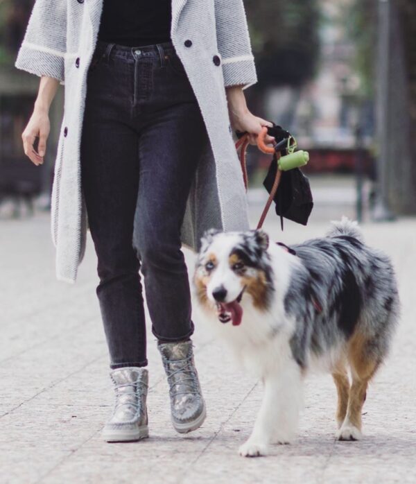 83845507_2828313803893268_6491702794272112640_o Ymiz M3 Piton