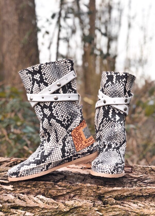 img_2401 Stra1 Python