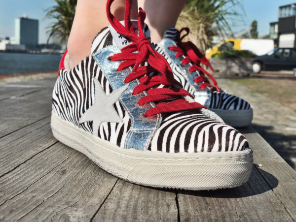 Red Hot Zebra