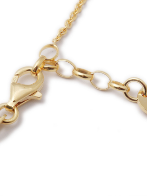 schermafbeelding_2017-10-26_om_14.17.18 ANAIS - Gold